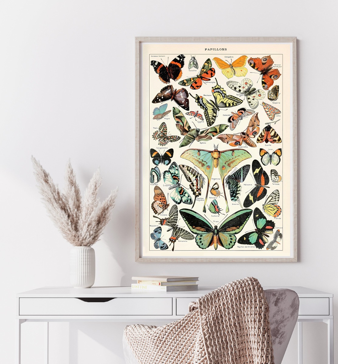 Plakat - Schmetterling