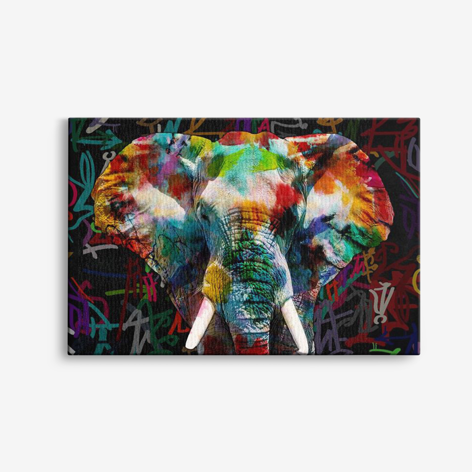 Leinwand -  Elefant