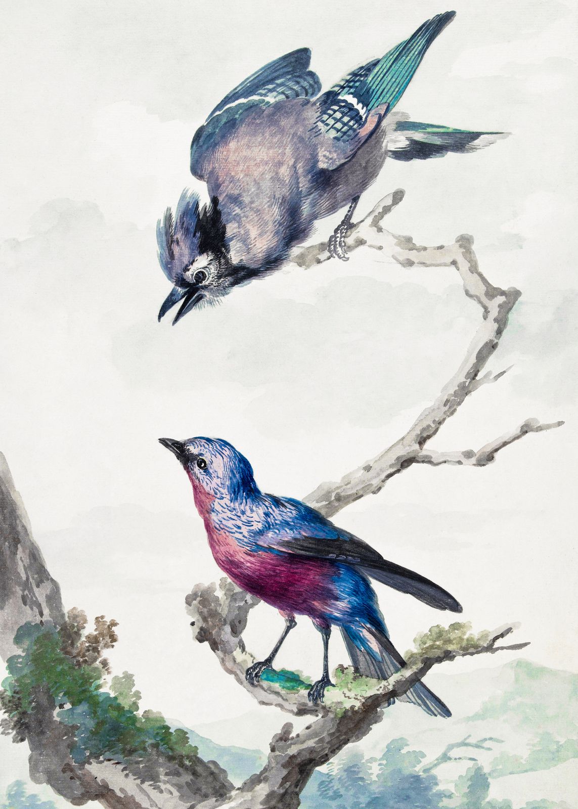 Poster - Vögel auf Ast