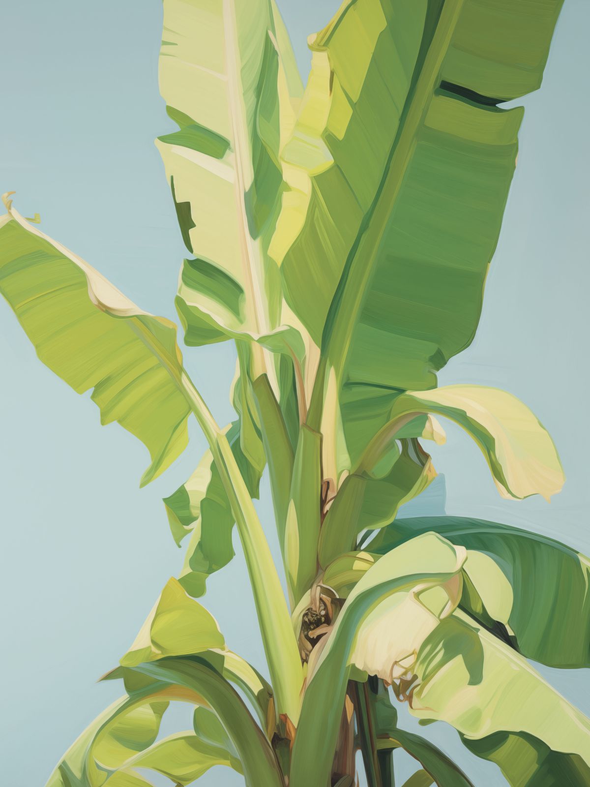 Poster - Tropisches Bananenblatt