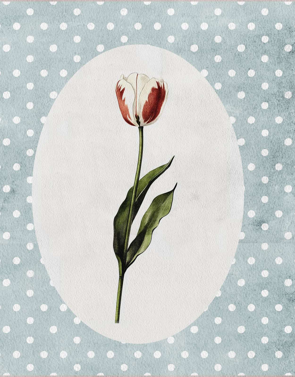 Poster - Tulpe auf gepunktetem Hintergrund