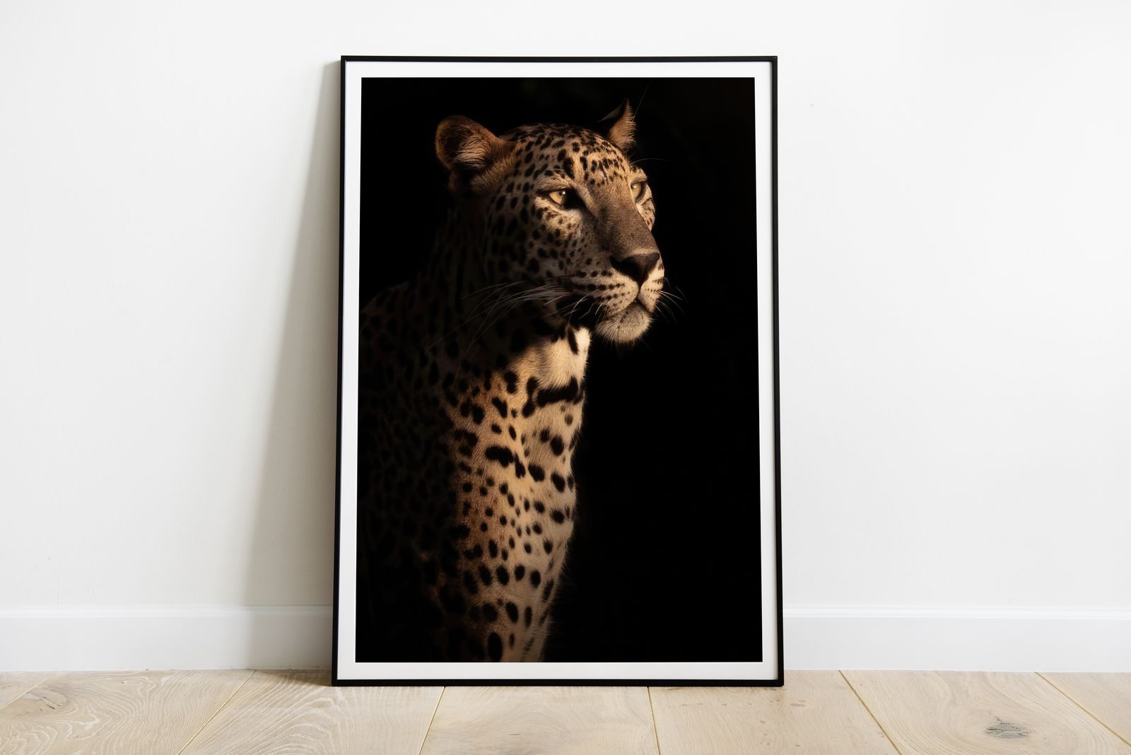 Poster - Majestätischer Leopard