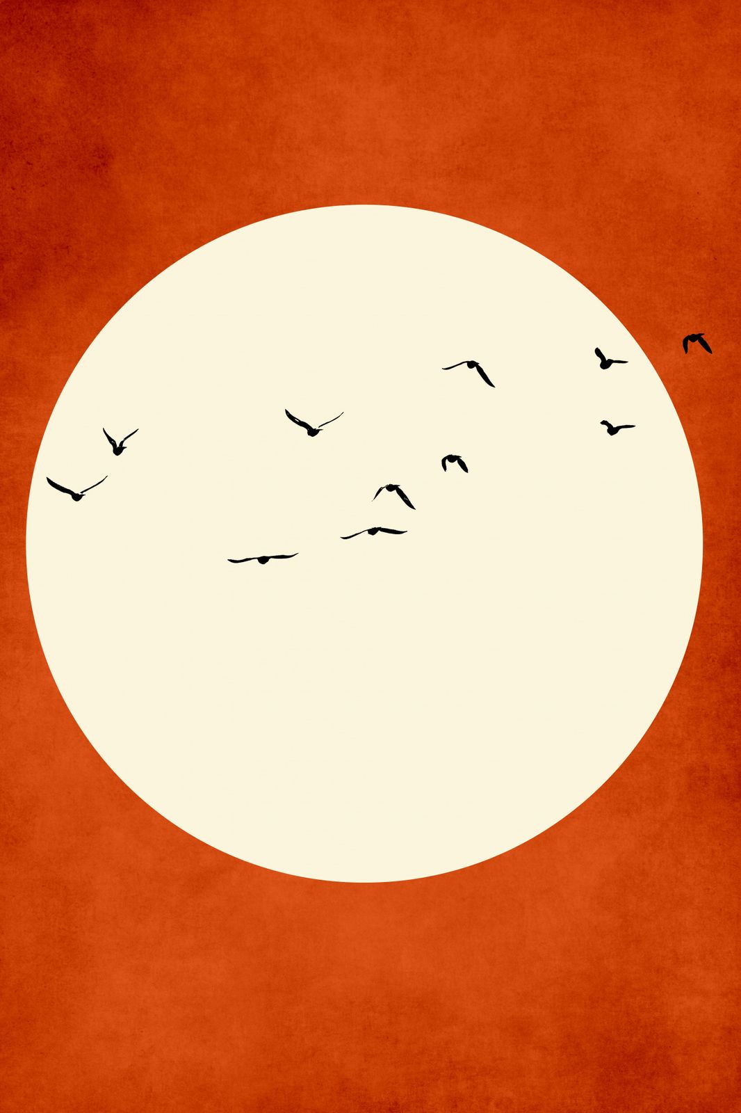 Poster - Vögel Über Sonne
